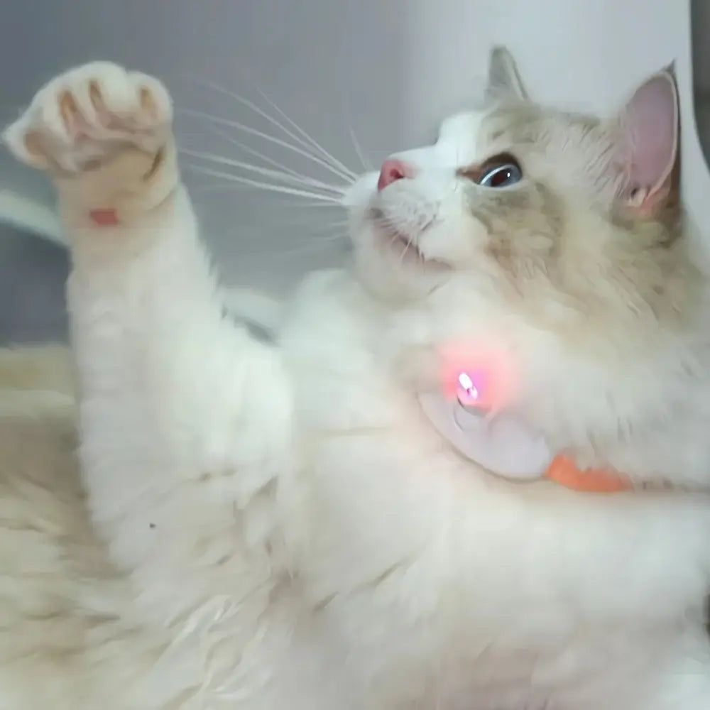 Smart Interactive Hands-Free Cat Laser Collar Toy
